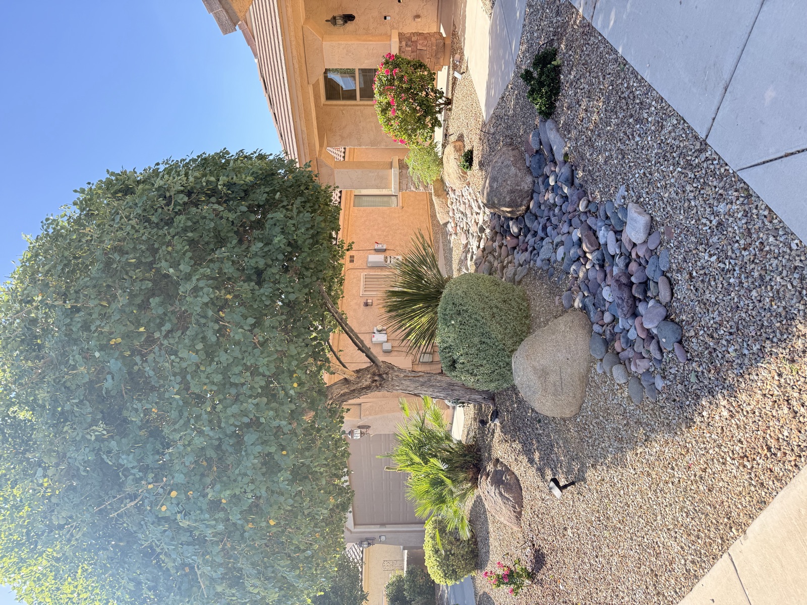 Manicured Scottsdale estate yard kept sharp with routine maintenance and seasonal cleanups