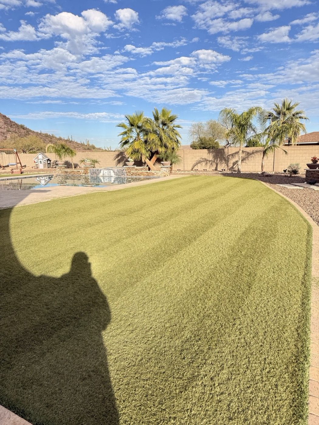 Fresh striped sod install by pool