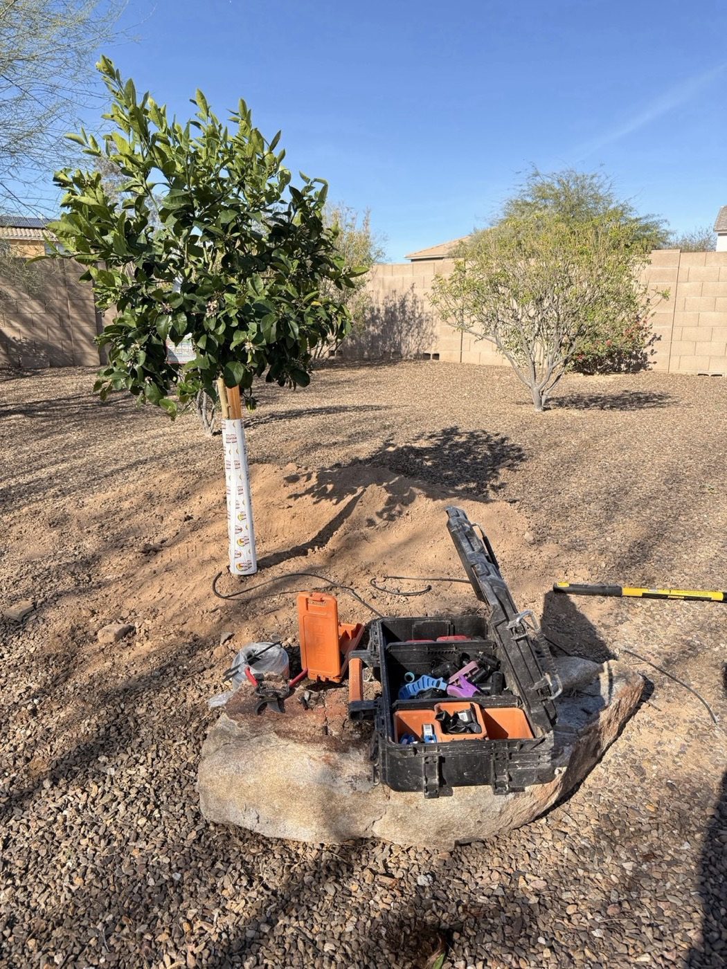 Tree install with excavator