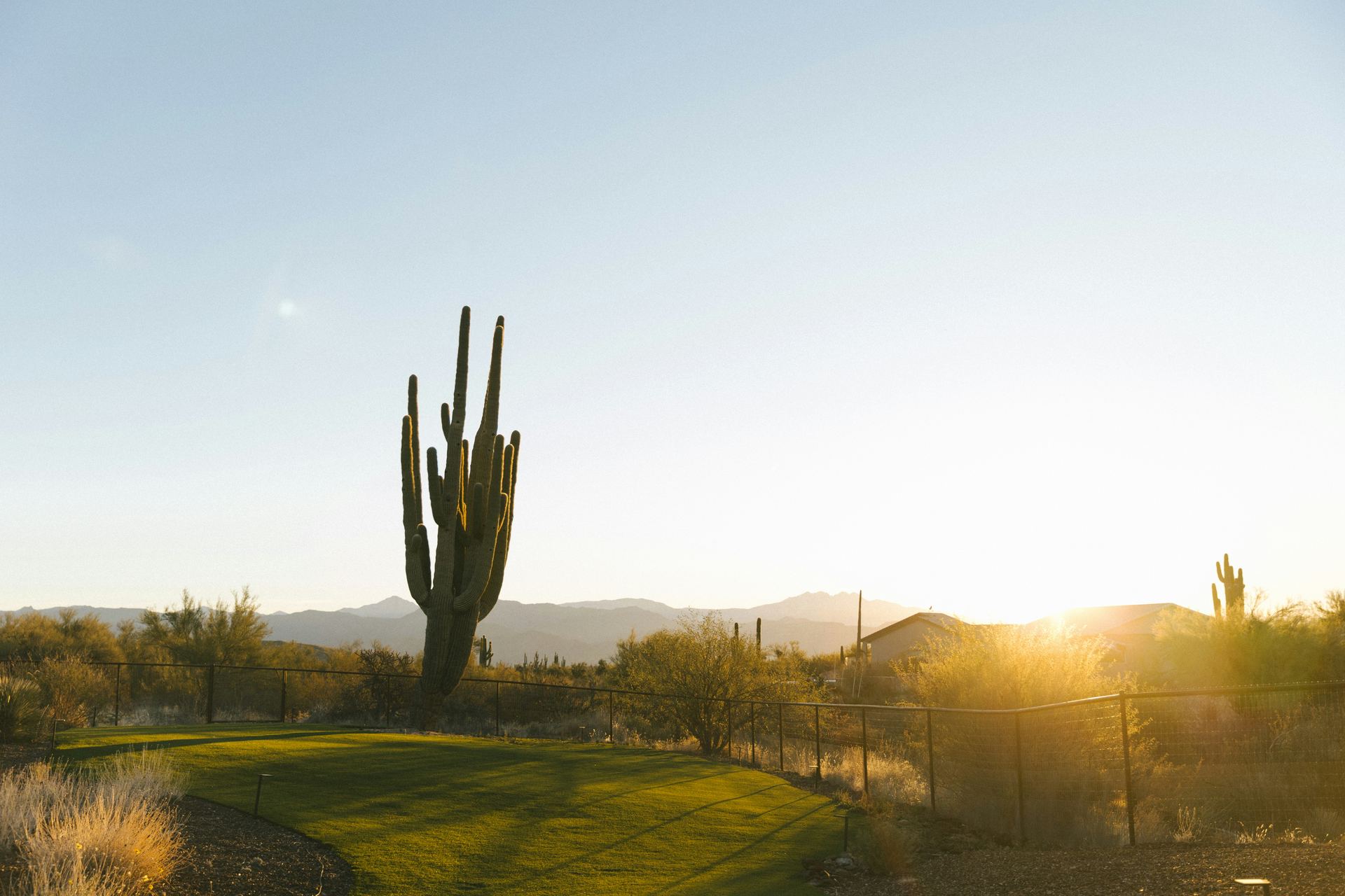 Sonoran desert estate at golden hour — saguaro, lush lawn, mountain backdrop